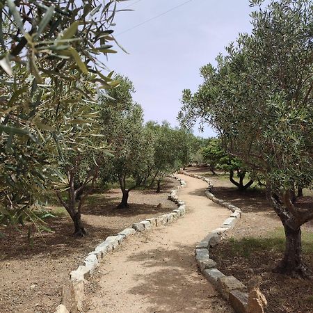 Cugnana Verde Stazzu Barecca B&B מראה חיצוני תמונה