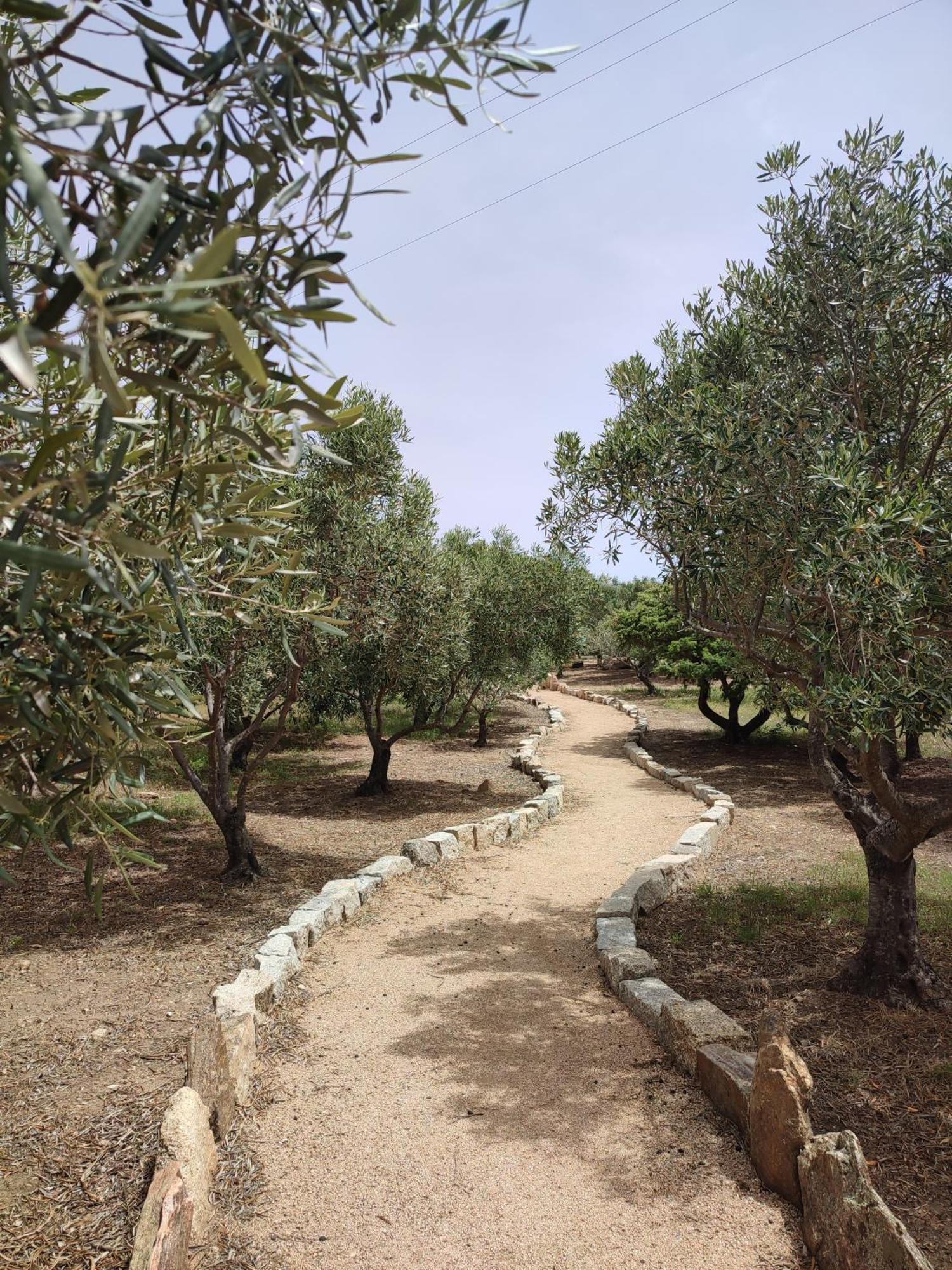 Cugnana Verde Stazzu Barecca B&B מראה חיצוני תמונה